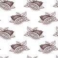 Hand drawn cocoa seamless pattern. Engraved style illustration. Botanical vintage background with cocoa beans.